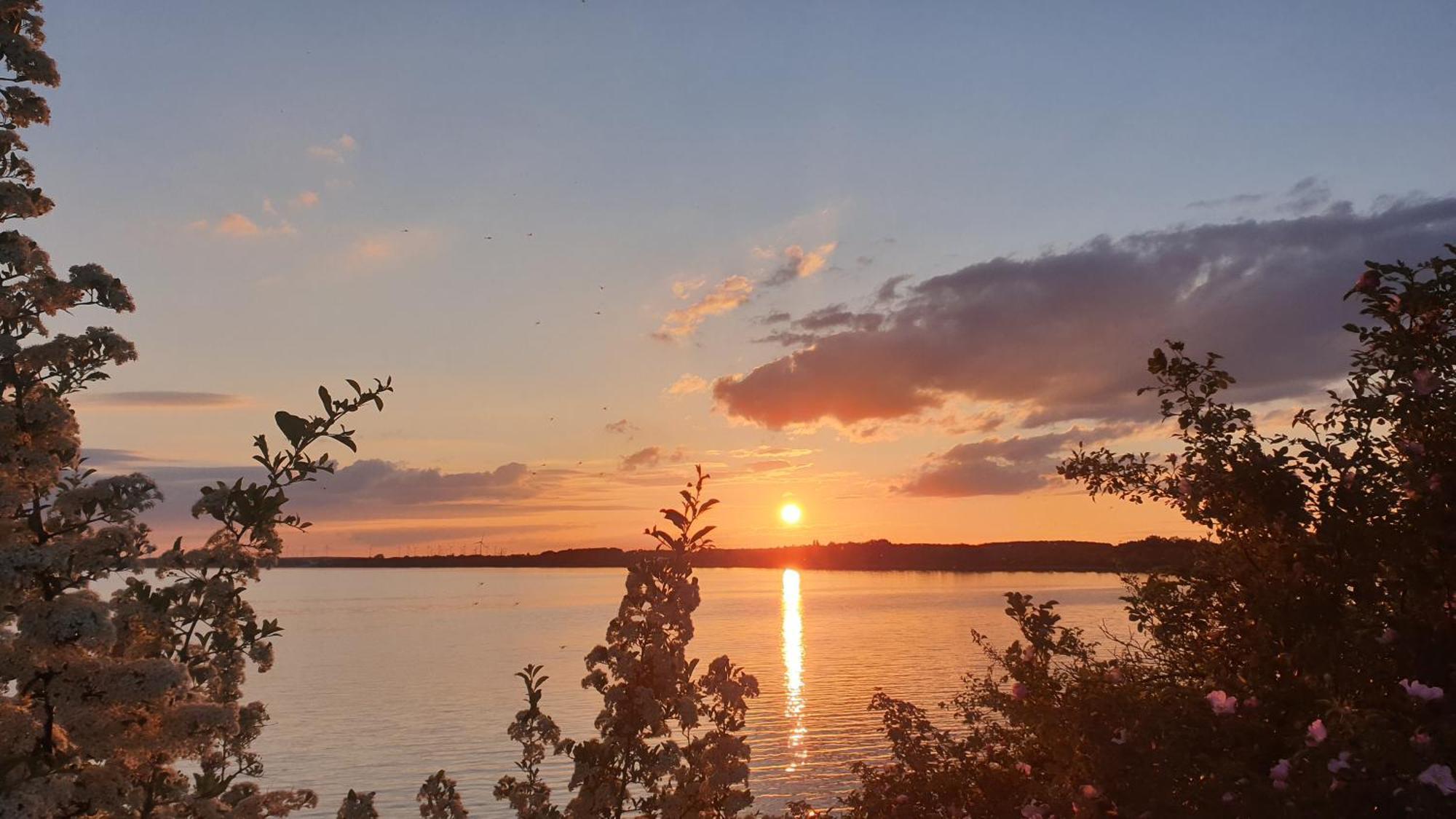 Seensucht & Urlaubstraeume, Ferienwohnung "Strand-Romantik" Senftenberg Eksteriør billede